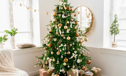 Árboles de Navidad verde: Encuentra el mejor para tu hogar